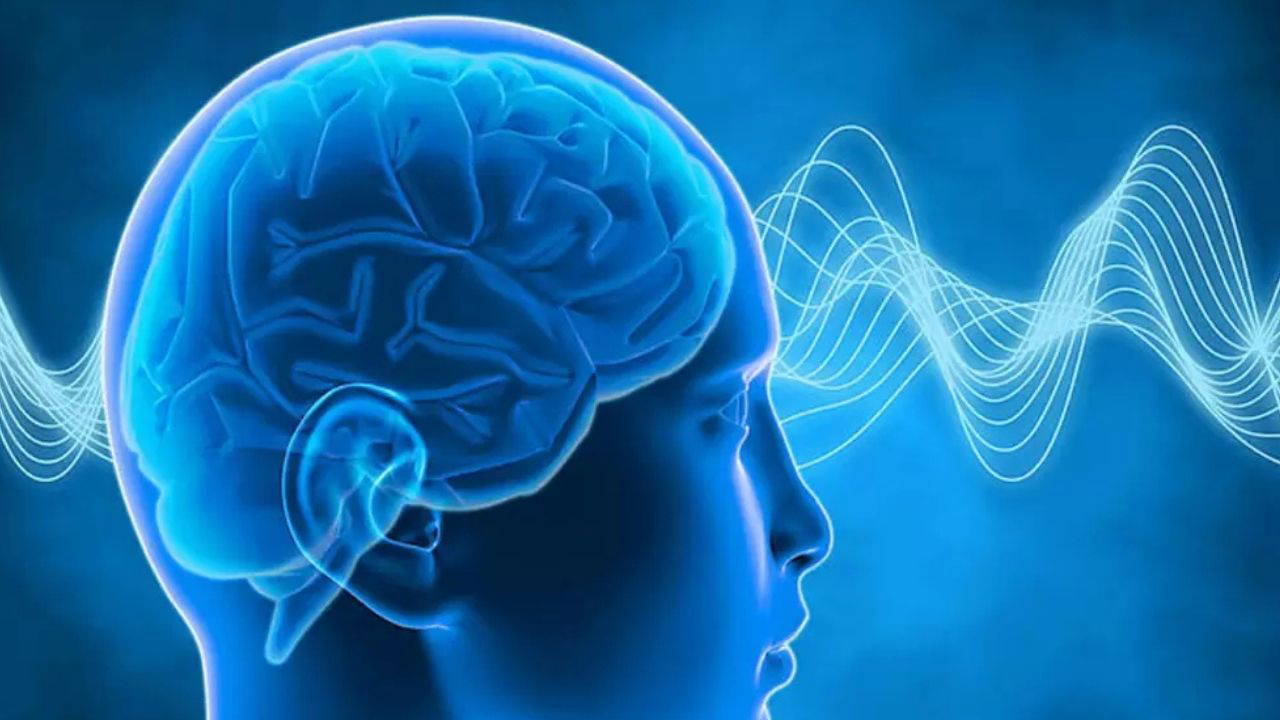 Alzheimer ve Virüsler